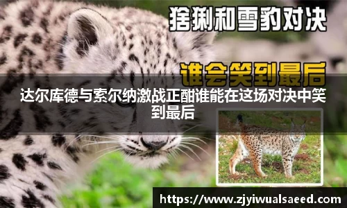 达尔库德与索尔纳激战正酣谁能在这场对决中笑到最后