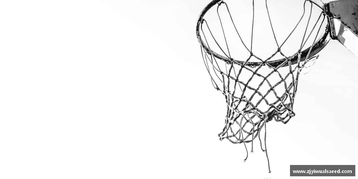 了解BSport必一